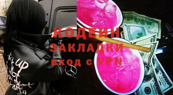 шишки Алексин