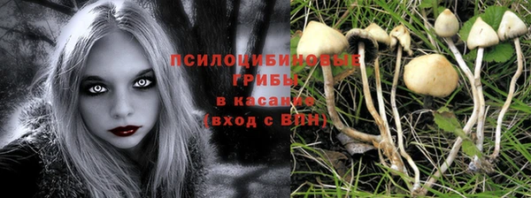 не бодяженный Абинск