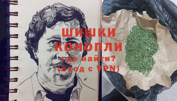 шишки Алексин