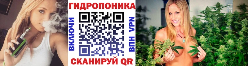 Каннабис гибрид  даркнет телеграм  Копейск 